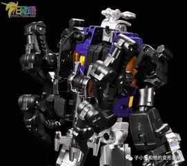 Fanstoys FT-12 機(jī)器昆蟲炸彈 普通版評(píng)測(cè)